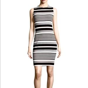 NWOT Calvin Klein Sheath Stripe Dress
